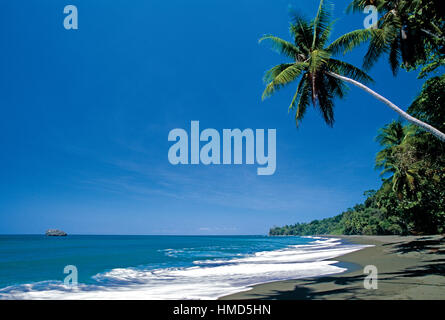 La spiaggia e la foresta pluviale nel Parco Nazionale di Corcovado, Osa Peninsula, Costa Rica. Foto Stock