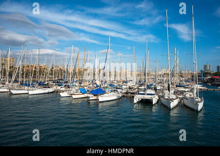 Barche a vela a Moll de la Fusta Port Vell Barcellona Spagna. Foto Stock