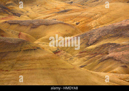 Colline dipinte da Carroll Rim Trail, John Day Fossil Beds National Monument-Painted Hills, unità di Oregon Foto Stock