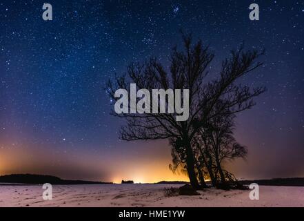 Via Lattea e il cielo stellato su paesaggio invernale e alberi. Cielo notturno astrofotografia sfondo. Foto Stock