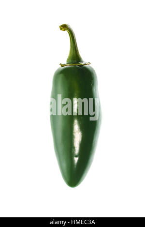 Green mature peperoncino jalapeno peperoncino dai Caraibi o Messico isolato su sfondo bianco Foto Stock