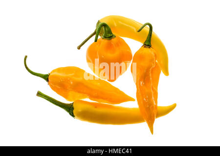 Differenti varietà di giallo peperoncini - un mazzetto di peperoncini, isolato su bianco. Hot Pepper Sarit Gat, Habanero arancione e Fatalii giallo Foto Stock