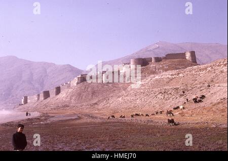 Pastorale vista panoramica di Bala Hissar, antica fortezza si trova sul Kuh-e Sher Darwaza mountain a sud di Kabul, Afghanistan. Bambino afgano pastore di estrema sinistra pone in primo piano con il suo bestiame che pascola sul fianco di una collina al di sotto della cittadella. Novembre, 1973. (Foto dalla collezione di Morse/Gado/Getty Images). Foto Stock