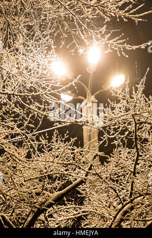 Lampione in winter park Foto Stock Lampione in winter park Foto Stock