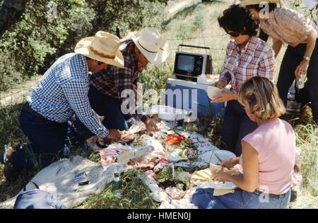 Una famiglia, con alcuni membri che indossa plaid camicie e cappelli da cowboy, siede sul prato e gode di una grande diffusione di picnic food, con un televisore fino sulla cima di un refrigeratore, 1975. Foto Stock