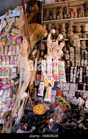 Voci sul display in un negozio chiflera nel mercato delle streghe a La Paz, per uso in sacrifici alla Pachamama, madre terra detiy Foto Stock