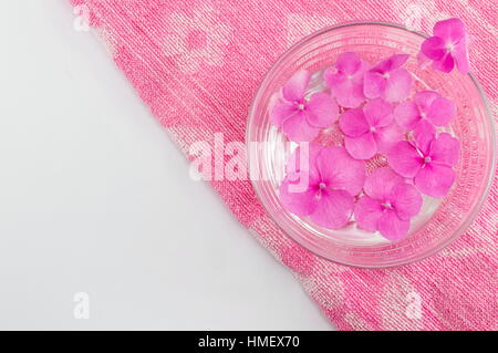 Hortensia fiori di primavera flottante in una tazza di acqua Foto Stock