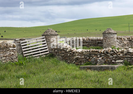 Skara Brae pianura rurale nelle Orkney, Scozia. Foto Stock