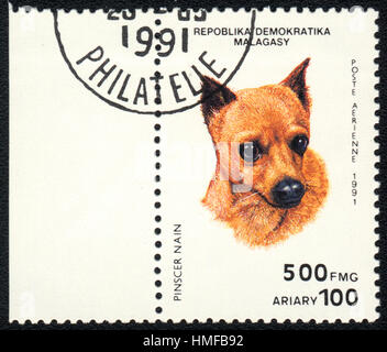 Un francobollo stampato in Republica malgasci mostra un cane Pinscher in miniatura, dalla serie Razze di cani , circa 1991 Foto Stock