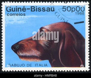 Un francobollo stampato in Guinea Bissau mostra un cane Segugio Italiano, dalla serie Razze di cani , circa 1988 Foto Stock