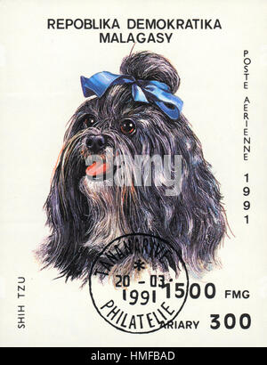 Un francobollo stampato in Republica malgasci mostra un cane Shih tzu, dalla serie Razze di cani , circa 1991 Foto Stock