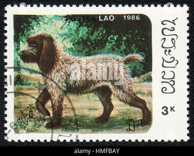 Un francobollo stampato in Aos mostra un cane di puntamento Wirehaired grifone, dalla serie Razze di cani , circa 1986 Foto Stock