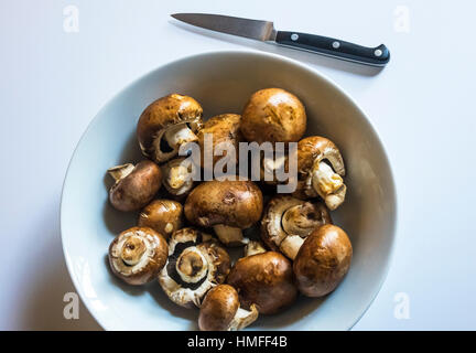 Baby bella di funghi Foto Stock