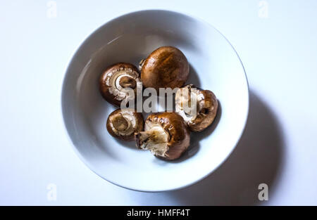 Una ciotola di materie baby bella di funghi Foto Stock