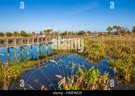 Il Boardwalk nei campi di sedano di ricreazione e di natura zona di Sarasota Couny in Sarasota Florida Foto Stock