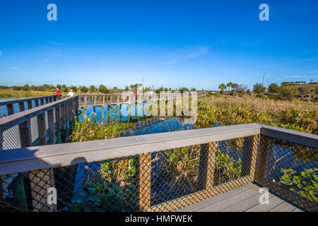 Il Boardwalk nei campi di sedano di ricreazione e di natura zona di Sarasota Couny in Sarasota Florida Foto Stock