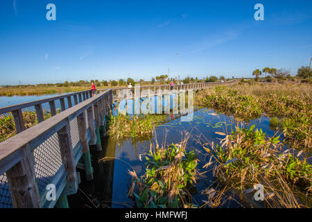 Il Boardwalk nei campi di sedano di ricreazione e di natura zona di Sarasota Couny in Sarasota Florida Foto Stock