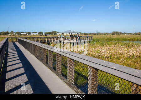 Il Boardwalk nei campi di sedano di ricreazione e di natura zona di Sarasota Couny in Sarasota Florida Foto Stock