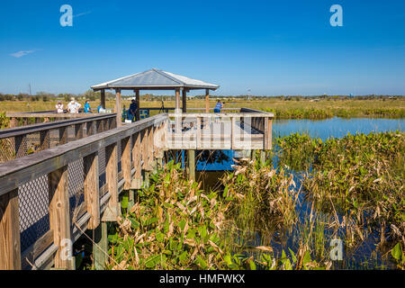 Il Boardwalk nei campi di sedano di ricreazione e di natura zona di Sarasota Couny in Sarasota Florida Foto Stock