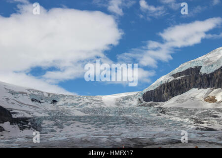 Ghiacciaio Athabasca in Columbia Campi di Ghiaccio, Alberta Canada Foto Stock