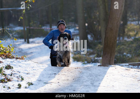 OLDENZAAL, Paesi Bassi - 22 gennaio 2017: Sconosciuto uomo canicross in esecuzione in un bianco neve forest Foto Stock