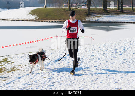OLDENZAAL, Paesi Bassi - 22 gennaio 2017: Sconosciuto uomo canicross in esecuzione in una neve bianco paesaggio. Foto Stock