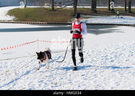 OLDENZAAL, Paesi Bassi - 22 gennaio 2017: Sconosciuto uomo canicross in esecuzione in una neve bianco paesaggio. Foto Stock
