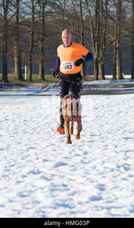 OLDENZAAL, Paesi Bassi - 22 gennaio 2017: Sconosciuto uomo canicross in esecuzione in una neve bianco paesaggio. Foto Stock
