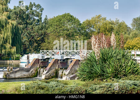 La Weir a Goring On Thames Oxfordshire UK Foto Stock