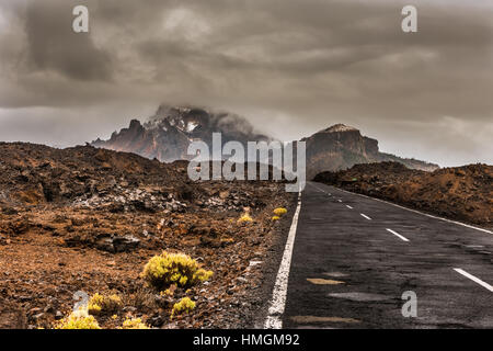 Strada nel deserto vulcanico Tenerife, Canarie. Asfalto e la linea bianca sulla strada Foto Stock