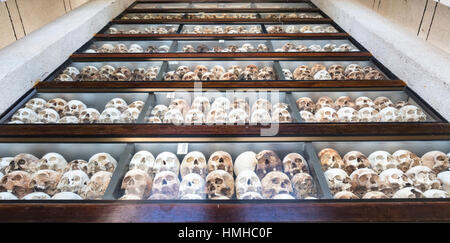 Righe di crani di Khmer Rouge vittime sul display nel memorial stupa al Choeung Ek Campo di uccisione, Phnom Penh Cambogia Foto Stock