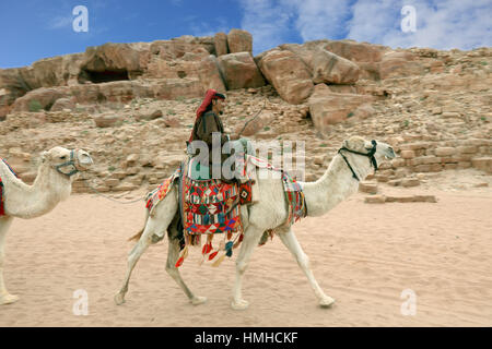 Beduino con riding camel, abbandonato rock city Petra, al-Batra, capitale dell'impero del Nabataeans, Giordania, patrimonio culturale mondiale dell UNESCO Foto Stock