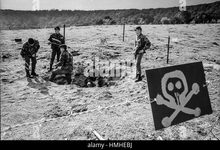 Army Bomb Disposal team che si occupano di alcuni ordigni di guerra mondiale due inesplosi trovati a Kingley vale la Riserva Naturale, vicino a Chichester, West Sussex Foto Stock