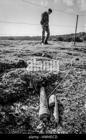 Army Bomb Disposal team che si occupano di alcuni ordigni di guerra mondiale due inesplosi trovati a Kingley vale la Riserva Naturale, vicino a Chichester, West Sussex Foto Stock