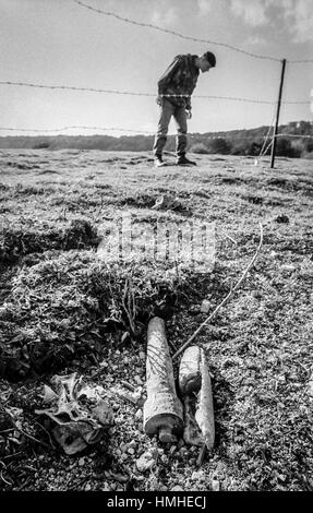 Army Bomb Disposal team che si occupano di alcuni ordigni di guerra mondiale due inesplosi trovati a Kingley vale la Riserva Naturale, vicino a Chichester, West Sussex Foto Stock