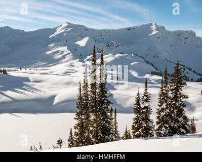 Paesaggio Innevato; Esplanade gamma; Selkirk gamma; British Columbia; Canada Foto Stock