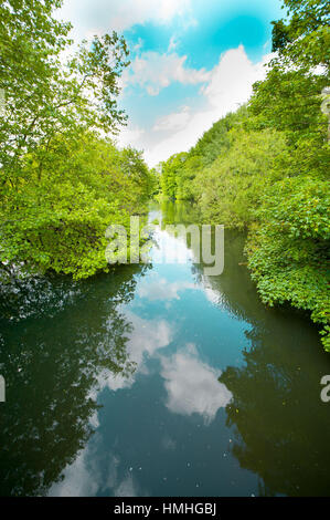 Vedute del fiume Test in Southampton, Hampshire area. Foto Stock