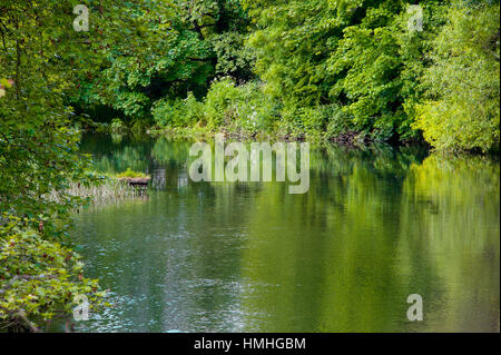 Vedute del fiume Test in Southampton, Hampshire area. Foto Stock