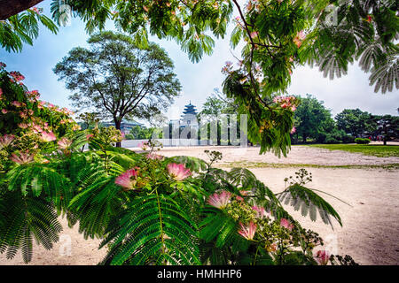 Vista del National Folk Museum edificio attraverso un albero in fiore, il Palazzo Gyeongbokgung, Seoul, Corea del Sud Foto Stock