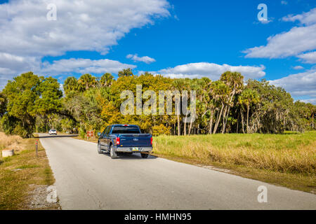 Park road in Myakka River State Park in Sarasota Florida Foto Stock