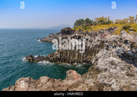 Jeju-do Daepo Jusangjeolli Cliff, Jeju Island, Corea del Sud Foto Stock