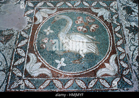 Roman pavimento a mosaico di un cigno stilizzato dal pavimento della basilica in rovina antica città greca di Soli o Soloi, la parte settentrionale di Cipro Foto Stock