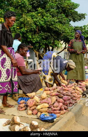 Il Kenya, nella contea di Kakamega, Bukura, le donne a vendere la patata dolce presso la strada sul giorno di mercato / KENIA, Frauen verkaufen Suesskartoffeln auf dem Markt Foto Stock