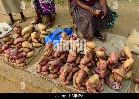 Il Kenya, nella contea di Kakamega, Bukura, le donne a vendere la patata dolce presso la strada sul giorno di mercato / KENIA, Frauen verkaufen Suesskartoffeln auf dem Markt Foto Stock