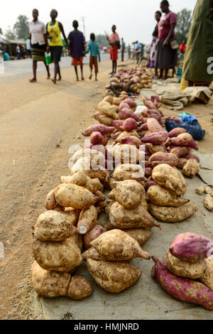 Il Kenya, nella contea di Kakamega, Bukura, le donne a vendere la patata dolce presso la strada sul giorno di mercato / KENIA, Frauen verkaufen Suesskartoffeln auf dem Markt Foto Stock