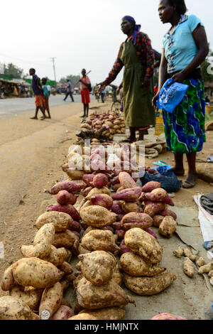 Il Kenya, nella contea di Kakamega, Bukura, le donne a vendere la patata dolce presso la strada sul giorno di mercato / KENIA, Frauen verkaufen Suesskartoffeln auf dem Markt Foto Stock