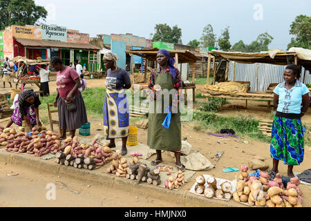 Il Kenya, nella contea di Kakamega, Bukura, le donne a vendere la patata dolce presso la strada sul giorno di mercato / KENIA, Frauen verkaufen Suesskartoffeln auf dem Markt Foto Stock