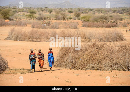 KENYA, Marsabit, Samburu village Hargura, Samburu è una tribù pastorale, un ricovero temporaneo con thorn arbusto recinto / KENIA, Samburu Dorf mit Dornenhecken Foto Stock
