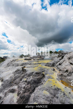 La cottura a vapore Pohutu Geyser e il Principe di Galles piume Geyser, Te Puia, Whakarewarewa, Rotorua, Nuova Zelanda Foto Stock