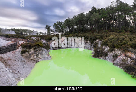 Verde Devil's bagno lago termale in Wai-O-Tapu zona termale, Waiotapu, Rotorua, regione di Waikato, Nuova Zelanda Foto Stock